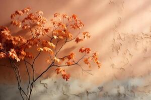 Autumn background with shadow of the maple tree leaves on a wall photo