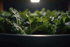 Fresh green and purple kale plants on marble, organic vegetablese photo