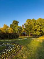 Shore of Lake Palic in Serbia photo