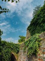 Park with green hills and historical architecture at the Petrovaradin Fortress photo