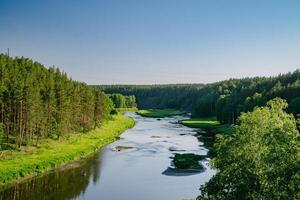 Tranquil River in Verdant Summer Woodlands photo