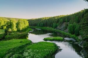 Tranquil River in Verdant Summer Woodlands photo