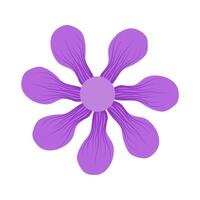 beautiful flower petal with detail for decoration background and your design vector