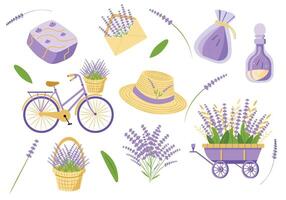 Set of lavender vector