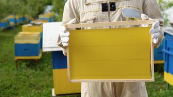 fermer apiculteur en portant une rayon de miel. apiculture concept. apiculteur récolte mon chéri video