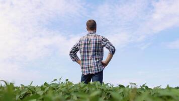 joven granjero en un haba de soja campo mirando dentro el distancia video