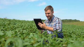 Yong handsome agronomist holds tablet touch pad computer in the soy field and examining crops before harvesting. Agricultural engineer standing in a corn field with a tablet. Agribusiness concept video