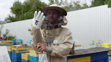 apiculteur met sur gants. Jeune apiculteur met sur protecteur gants pour protection avant travail à abeille maison rucher avec les abeilles en volant video