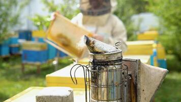 The beekeeper looks at the bee in the hive. Old bee smoker. Beekeeping tool video