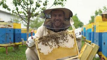 imker in beschermend werkkleding inspecteren honingraat kader Bij bijenstal. bijenteelt concept. imker oogsten honing video