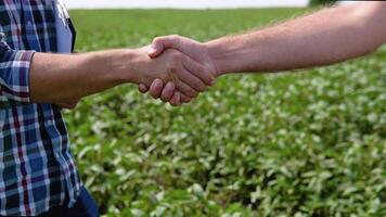 Handshake on soybean field. Two farmers standing outdoors in soy field in late summer shaking hands on deal video