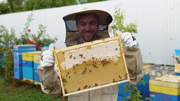 A man in a protective suit and hat holds a frame with honeycombs of bees in the garden video