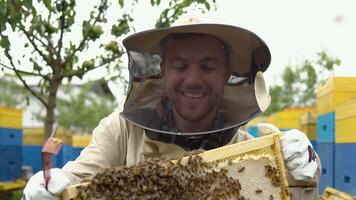 Beekeeper in protective workwear inspecting honeycomb frame at apiary. Beekeeping concept. Beekeeper harvesting honey video