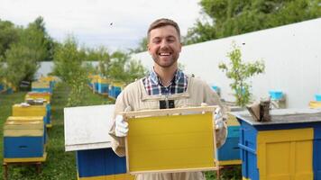 The beekeeper holds a honey cell with bees in his hands. Apiculture. Apiary. Working bees on honeycomb. Bees work on combs. Honeycomb with honey and bees close-up video