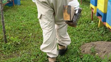 The beekeeper walking with old bee smoker on the apiary. Beekeeping concept video