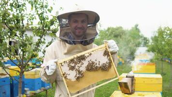 A man in a protective suit and hat holds a frame with honeycombs of bees in the garden video