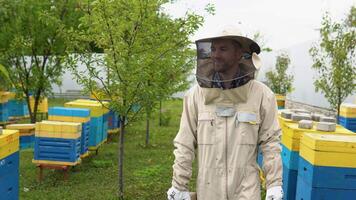 il apicoltore a piedi con vecchio ape fumatore su il apiario. apicoltura concetto video