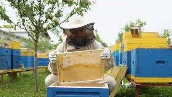 Nahansicht Porträt von Imker halten ein Bienenwabe voll von Bienen. Imker im schützend Arbeitskleidung inspizieren Bienenwabe Rahmen beim Bienenhaus. Bienenzucht Konzept. Imker Ernte Honig video