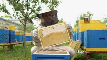 apicultor a trabajar. abeja guardián levantamiento estante fuera de colmena. el apicultor ahorra el abejas video