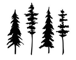 Set of Coniferous Trees silhouette. illustration with Pines and Spruce. Engraving of forest plants painted by black inks. Etching of evergreen park on isolated background for icon vector