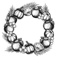 Mangosteen round Frame. Illustration of Wreath with exotic tropical Fruit for template in linear style. Drawing of Border with asian food, flowers and palm leaves painted by black inks vector