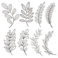 Set of leaves. Hand drawn decorative elements. vector