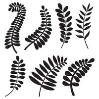 Set of leaves. Hand drawn decorative elements. vector