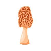 Cute cartoon illustration of a mushroom vector