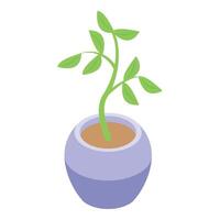 Growing plant pot icon isometric . Indoor botany vector