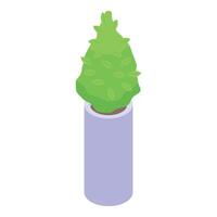 Bush plant pot icon isometric . Garden foliage vector