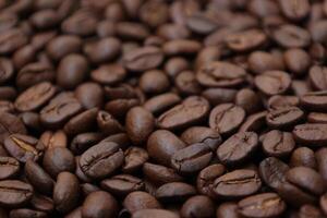 Coffee background, roasted coffee beans, brown coffee photo