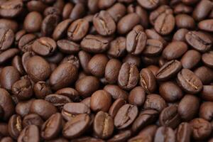 Coffee background, roasted coffee beans photo