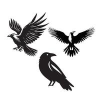 Crow silhouette set vector