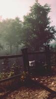 A serene wooded area with a rustic fence video