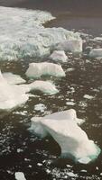 ein faszinierend Aussicht von schwebend Eisberge auf ein still Körper von Wasser video