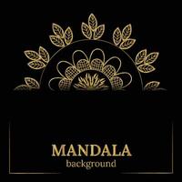 MANDALA BACKGROUND DESIGN vector