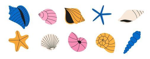 Hand drawn seashells and starfish in vibrant colors. Colored set. Tropical beach shell and starfish. Flat illustration solated on white background. vector