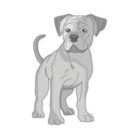 illustration of dog vector