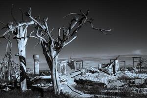 Ruins of Epecuen photo