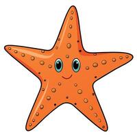 Starfish flat style illustration, Carton style vector