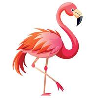 Flamingo Bird flat style illustration vector