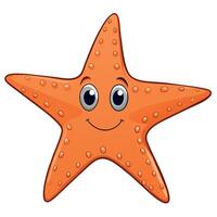 Starfish flat style illustration, Carton style vector