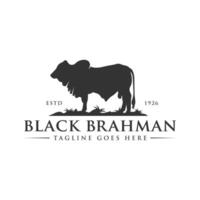 black brahman cow logo vector