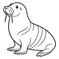 Walrus flat style illustration vector