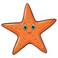 Starfish flat style illustration, Carton style vector