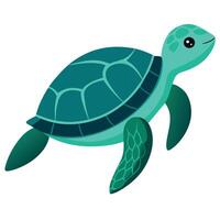 mar Tortuga ilustración plano estilo, Tortuga caja de cartón vector