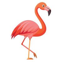 Flamingo Bird flat style illustration vector