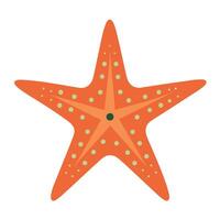 estrella de mar plano estilo ilustración, caja de cartón estilo vector