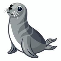 seal animal illustration flat style, a seal animal vector