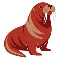 Walrus flat style illustration vector